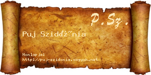 Puj Szidónia névjegykártya